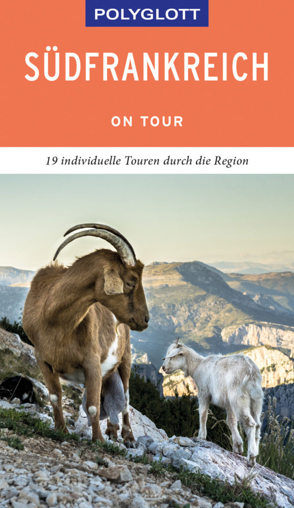 POLYGLOTT on tour Reiseführer Südfrankreich (Manfred Braunger)