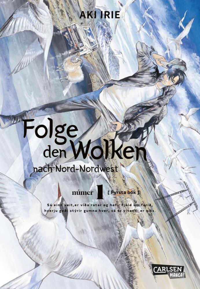 Folge den Wolken nach Nord-Nordwest.Bd.1 (Aki Irie)