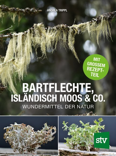 Bartflechte, Isländisch Moos & Co. (Andrea Trippl)