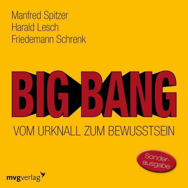 Big Bang: Vom Urknall zum Bewusstsein, 1 Audio-CD (Manfred Spitzer)