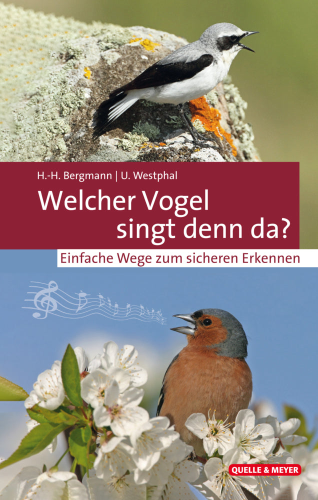 Welcher Vogel singt denn da? (Hans-Heiner Bergmann)
