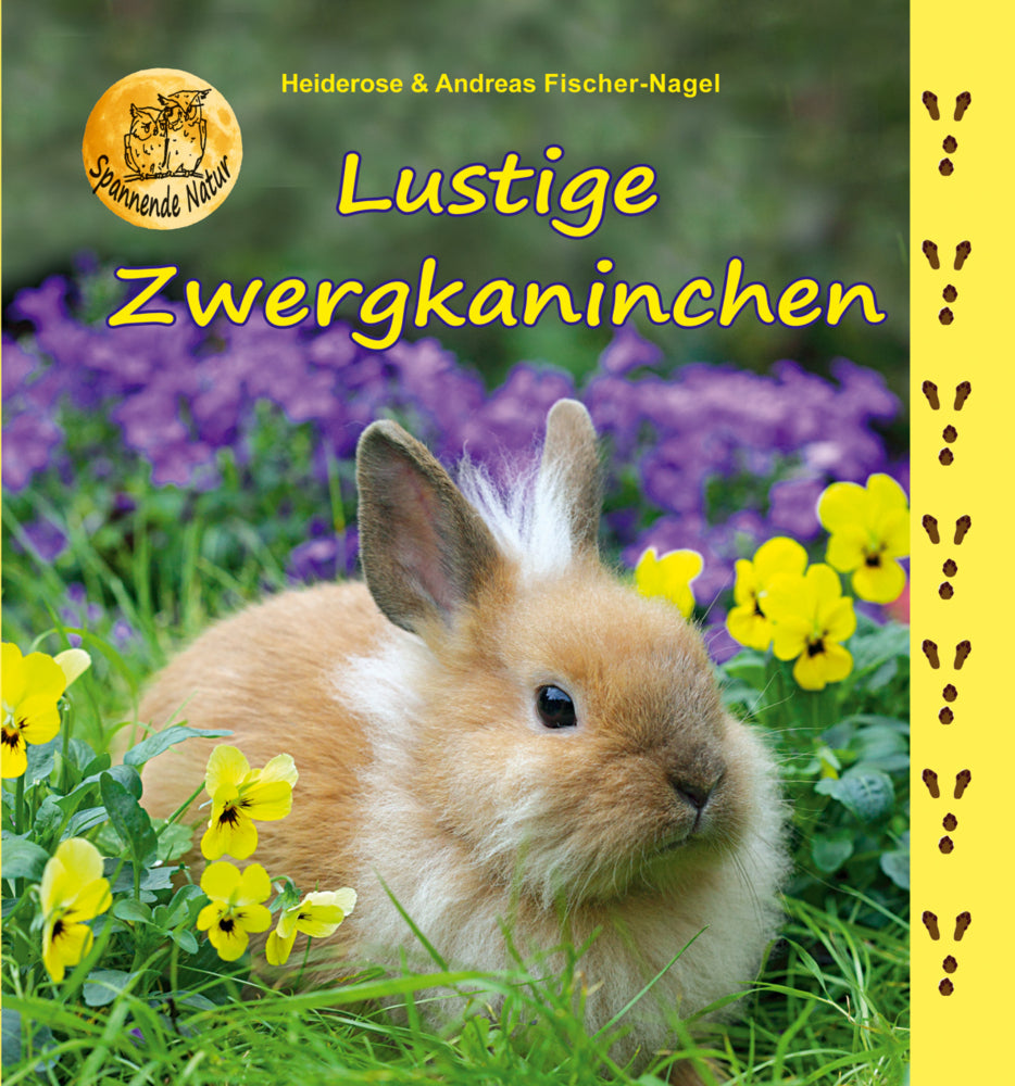 Lustige Zwergkaninchen (Heiderose Fischer-Nagel)