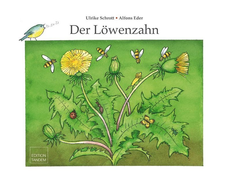 Der Löwenzahn (Ulrike Schrott)