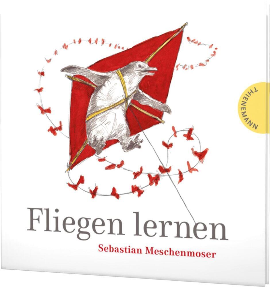 Fliegen lernen (Sebastian Meschenmoser)