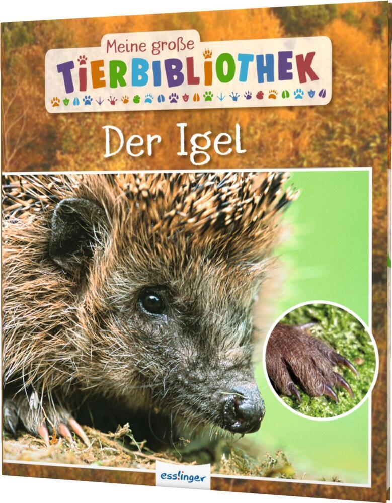 Meine große Tierbibliothek: Der Igel (Valérie Tracqui)