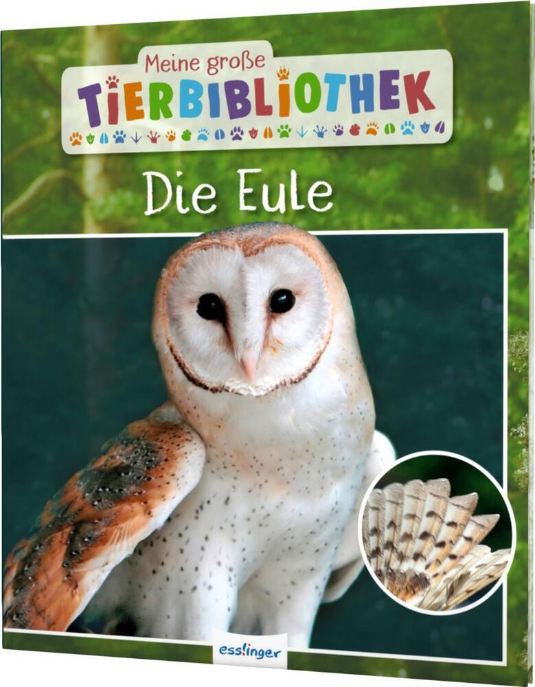 Meine große Tierbibliothek: Die Eule (Jens Poschadel)