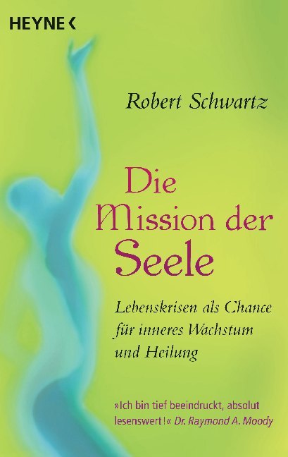 Die Mission der Seele (Robert Schwartz)