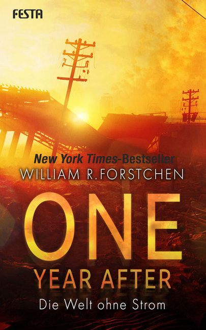 One Year After - Die Welt ohne Strom (William R. Forstchen)