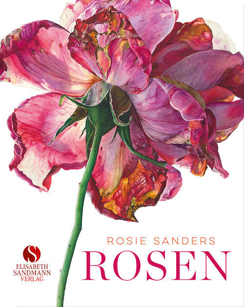 Rosen (Rosie Sanders)