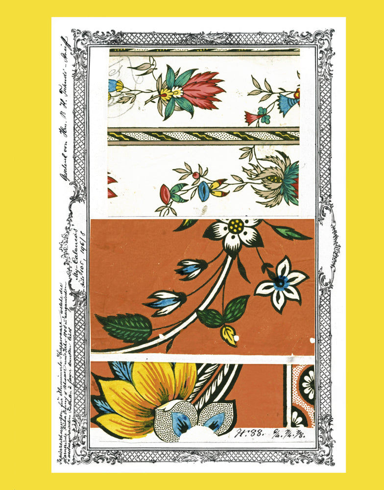 Polychromie und Wissen (Uta Hassler)