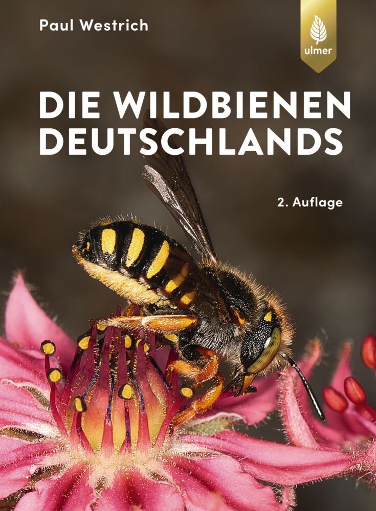 Die Wildbienen Deutschlands (Paul Westrich)