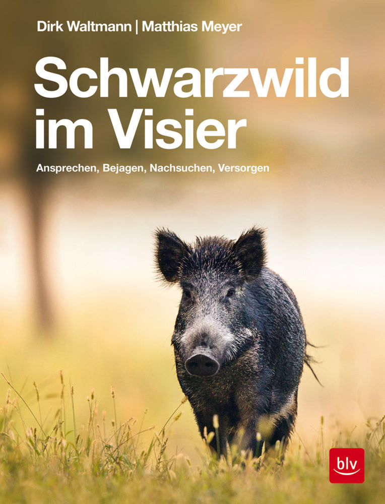 Schwarzwild im Visier (Dirk Waltmann)
