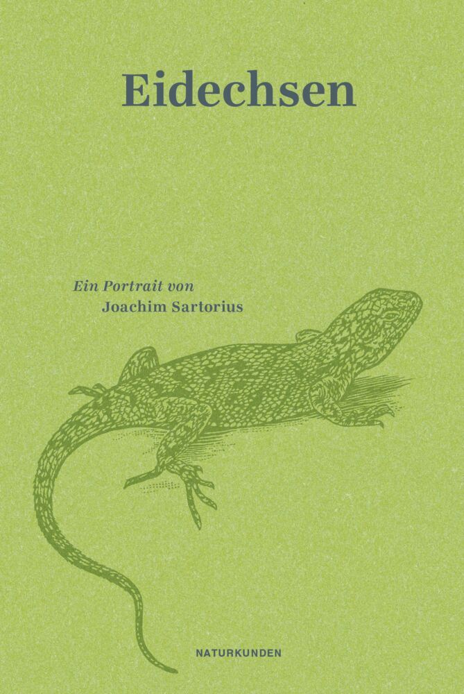 Eidechsen (Joachim Sartorius)