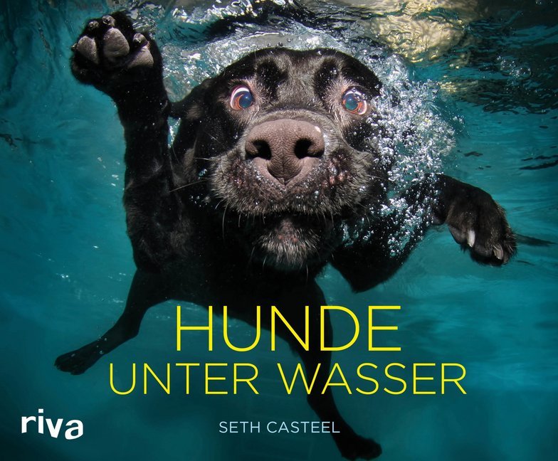 Hunde unter Wasser (Seth Casteel)