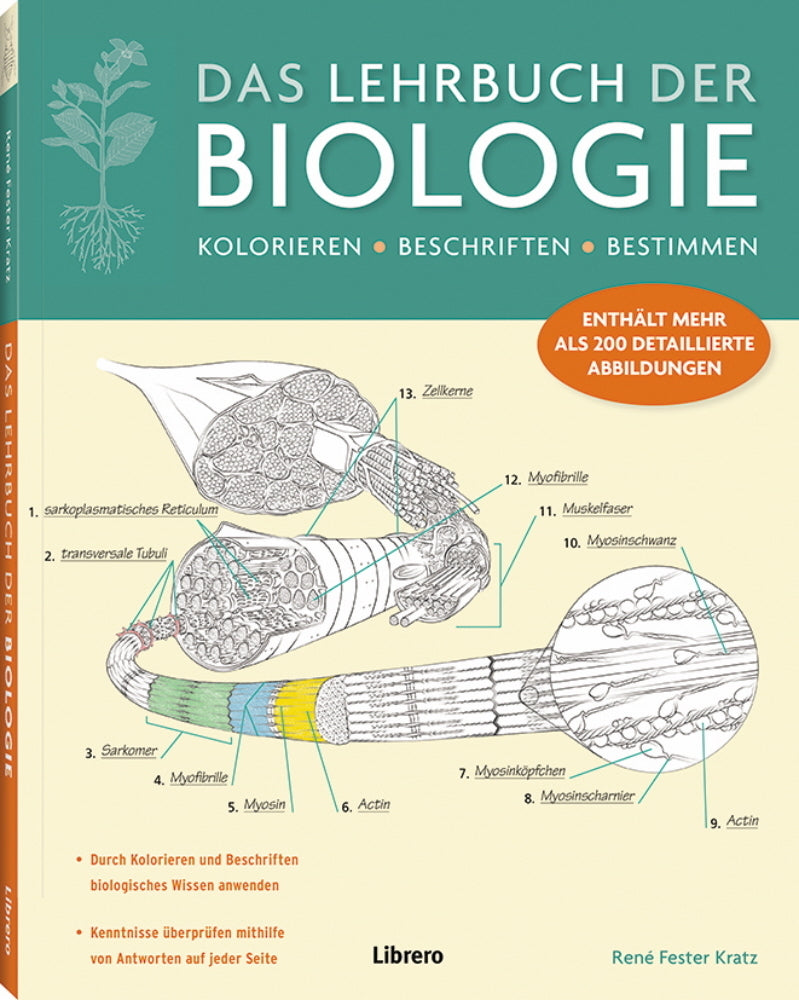 Das Lehrbuch der Biologie (Rene Fester Kratz)