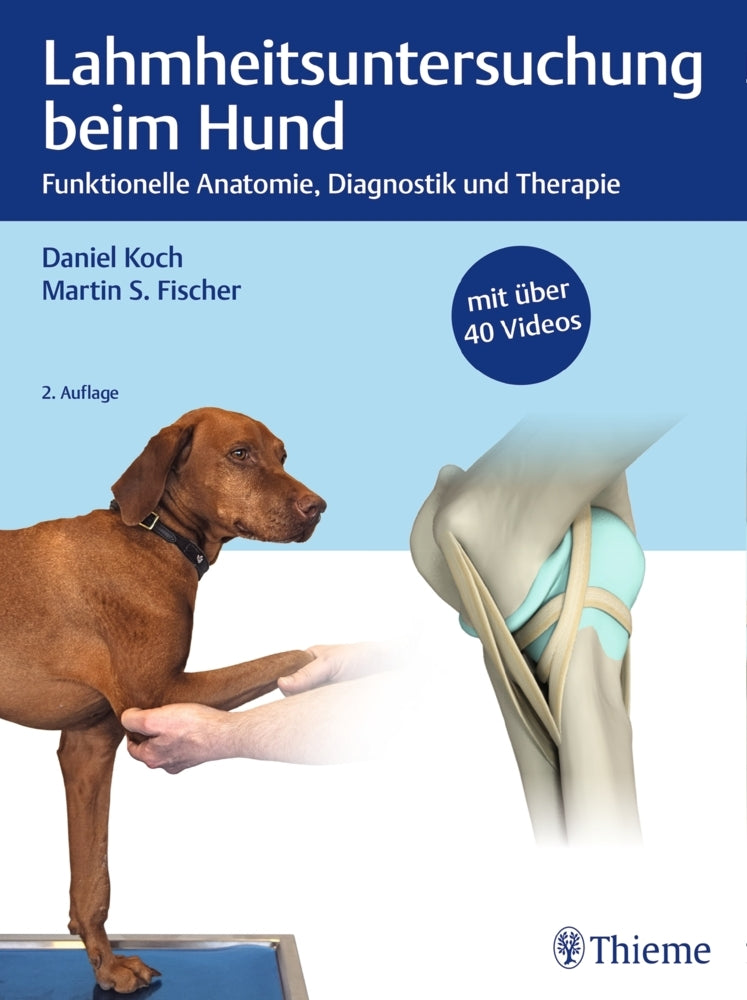 Lahmheitsuntersuchung beim Hund (Daniel Koch)