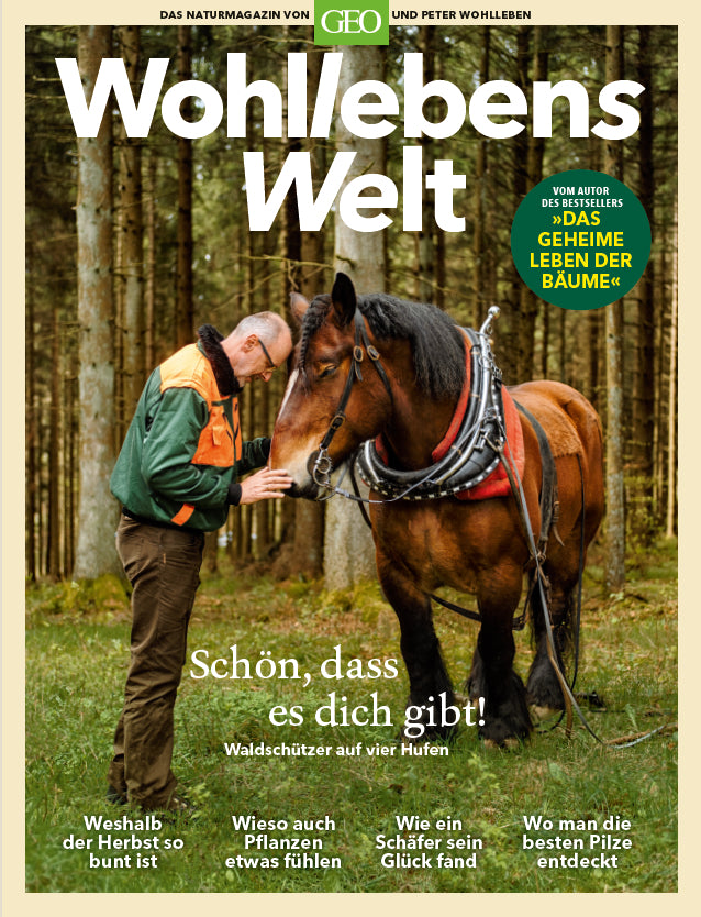 Wohllebens Welt / Wohllebens Welt - 3/2019 Neue Ideen für nachhaltigen Umgang (Peter Wohlleben)