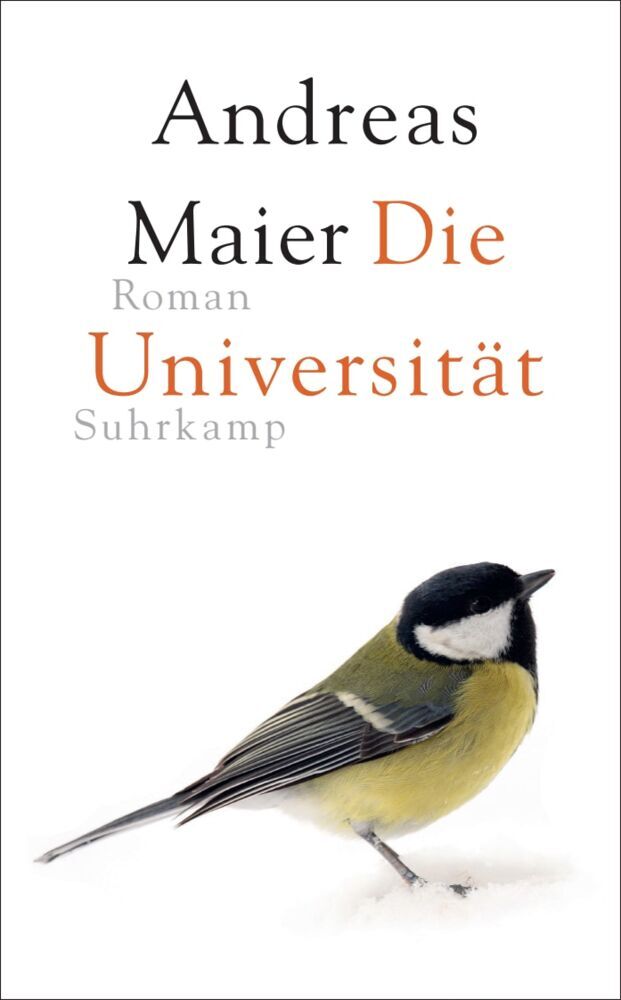 Die Universität (Andreas Maier)