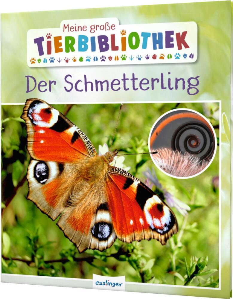 Meine große Tierbibliothek: Der Schmetterling (Valérie Tracqui)