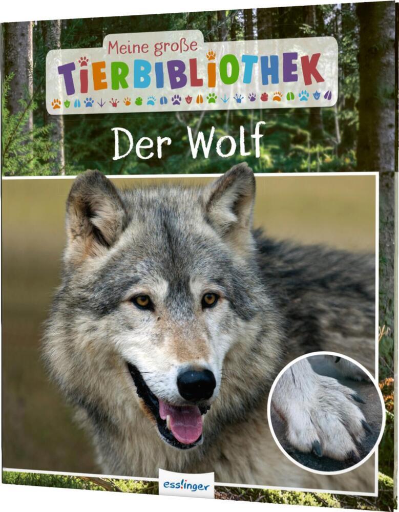 Meine große Tierbibliothek: Der Wolf (Christian Havard)