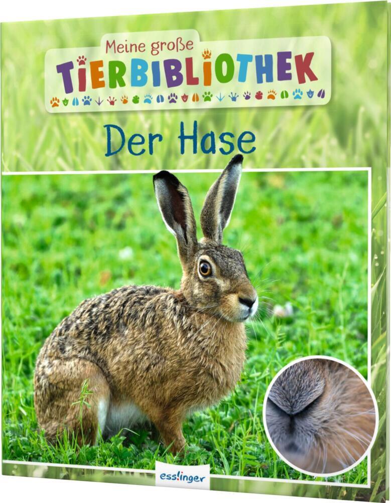 Meine große Tierbibliothek: Der Hase (Jens Poschadel)