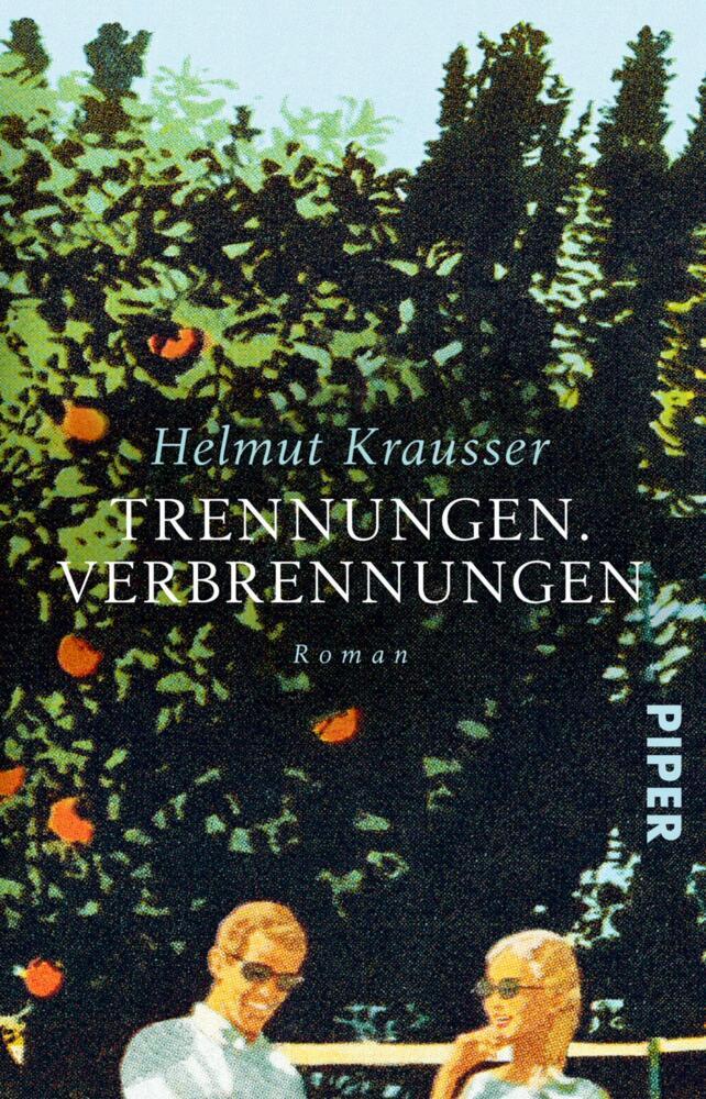 Trennungen. Verbrennungen (Helmut Krausser)