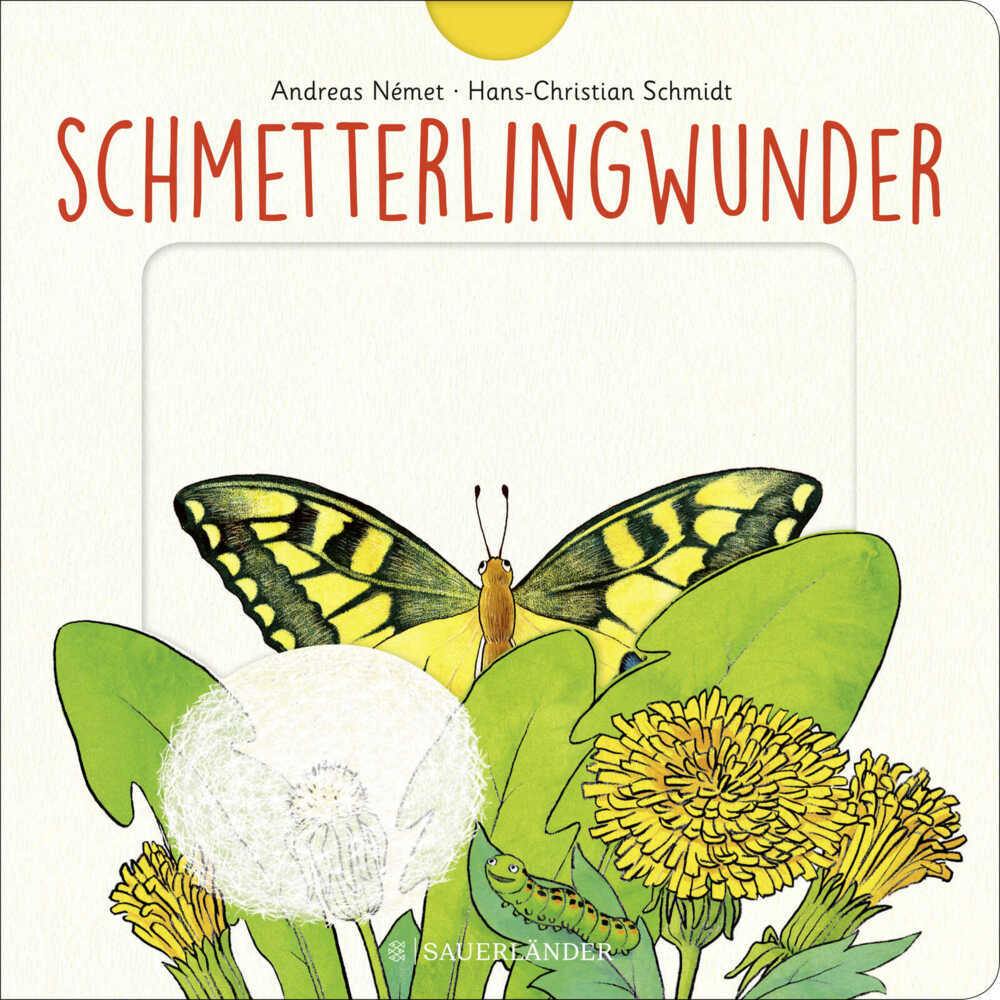 Schmetterlingwunder (Hans-Christian Schmidt)
