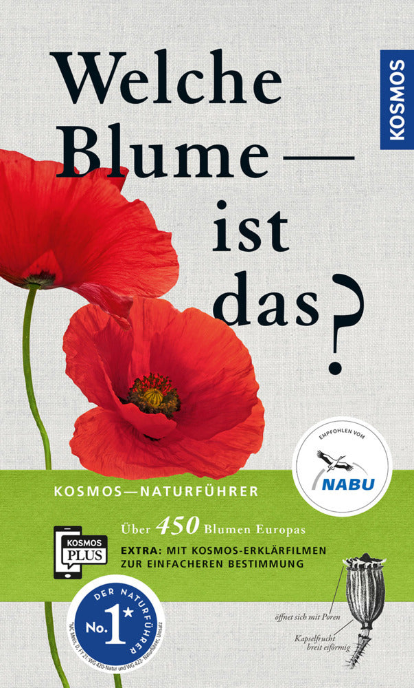 Welche Blume ist das? (Margot Spohn)