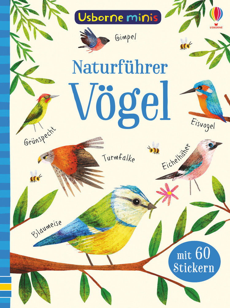 Naturführer: Vögel (Kirsteen Robson)