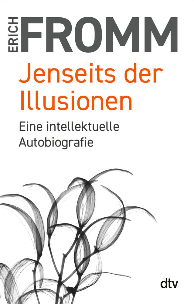 Jenseits der Illusionen (Erich Fromm)