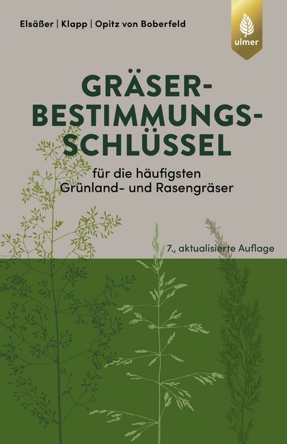 Gräserbestimmungsschlüssel für die häufigsten Grünland- und Rasengräser (Martin Elsäßer)