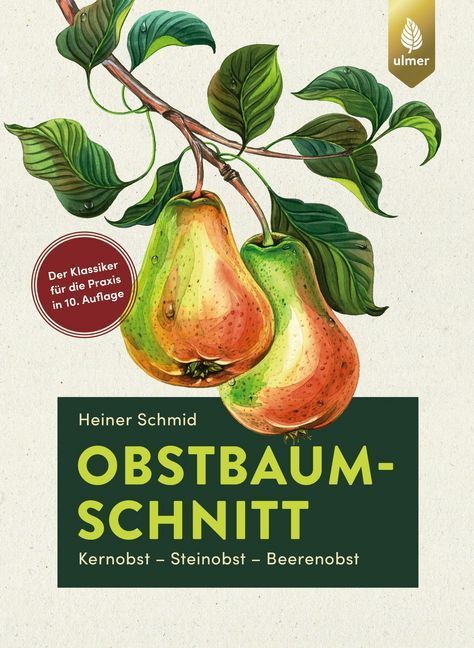Obstbaumschnitt (Heiner Schmid)