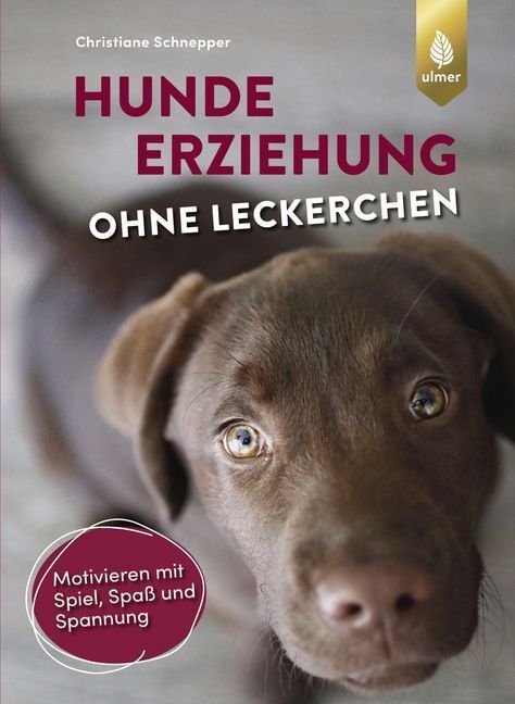 Hundeerziehung ohne Leckerchen (Christiane Schnepper)