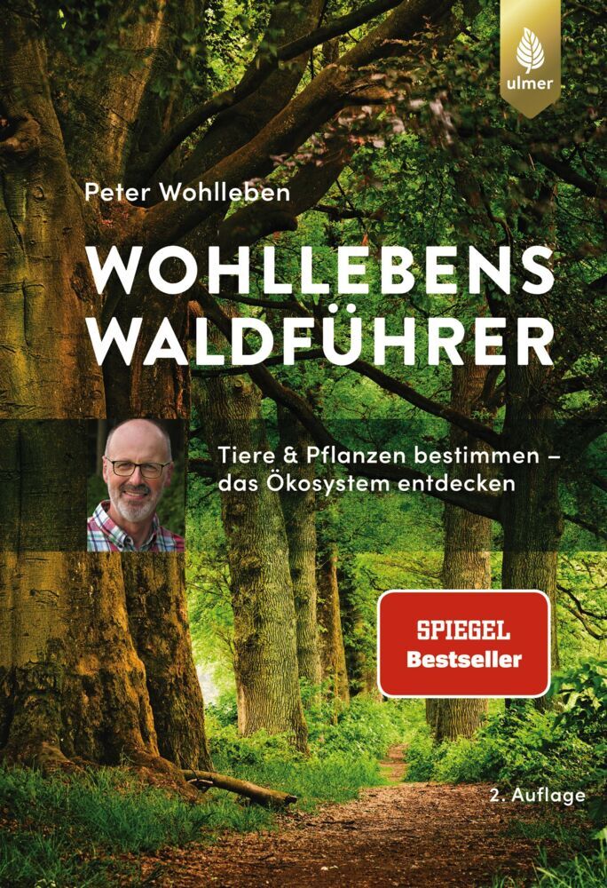 Wohllebens Waldführer (Peter Wohlleben)