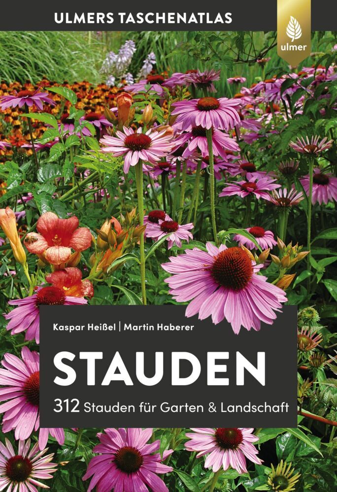Stauden (Kaspar Heißel)