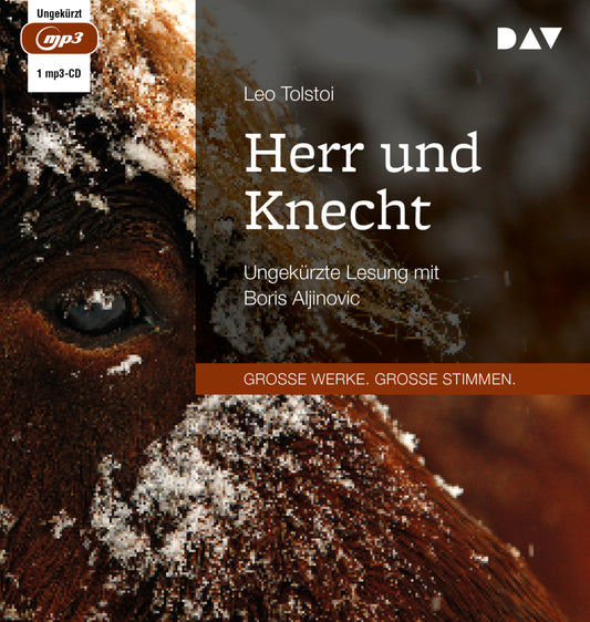 Herr und Knecht, 1 Audio-CD, 1 MP3 (Leo N. Tolstoi)