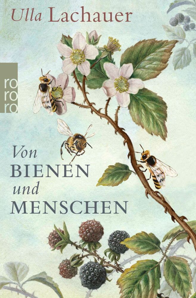 Von Bienen und Menschen (Ulla Lachauer)