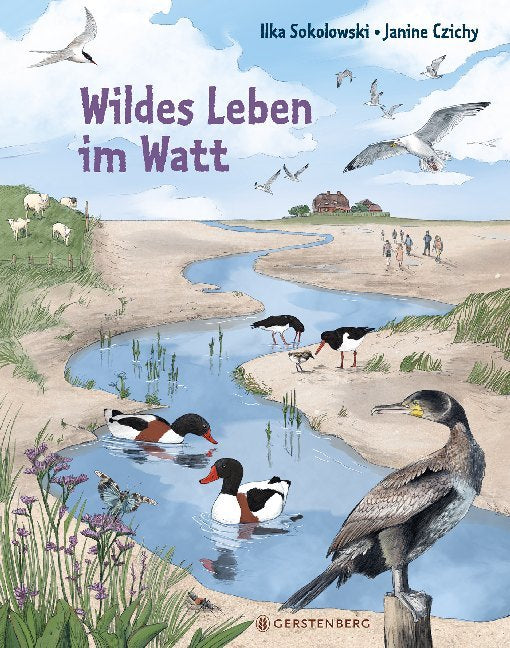 Wildes Leben im Watt (Ilka Sokolowski)