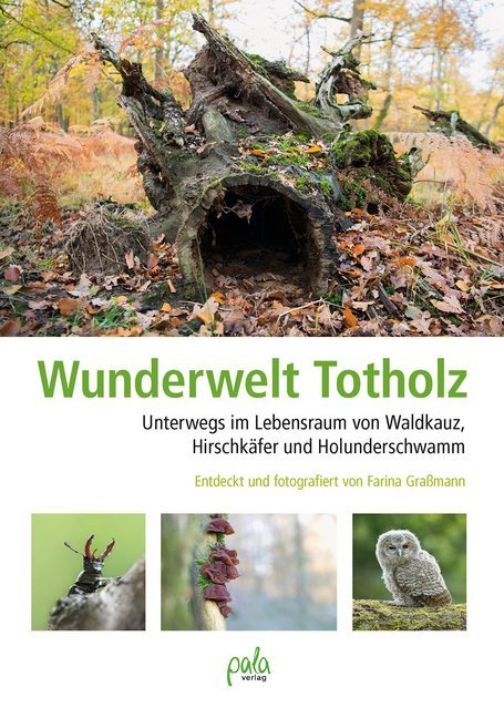 Wunderwelt Totholz (Farina Graßmann)