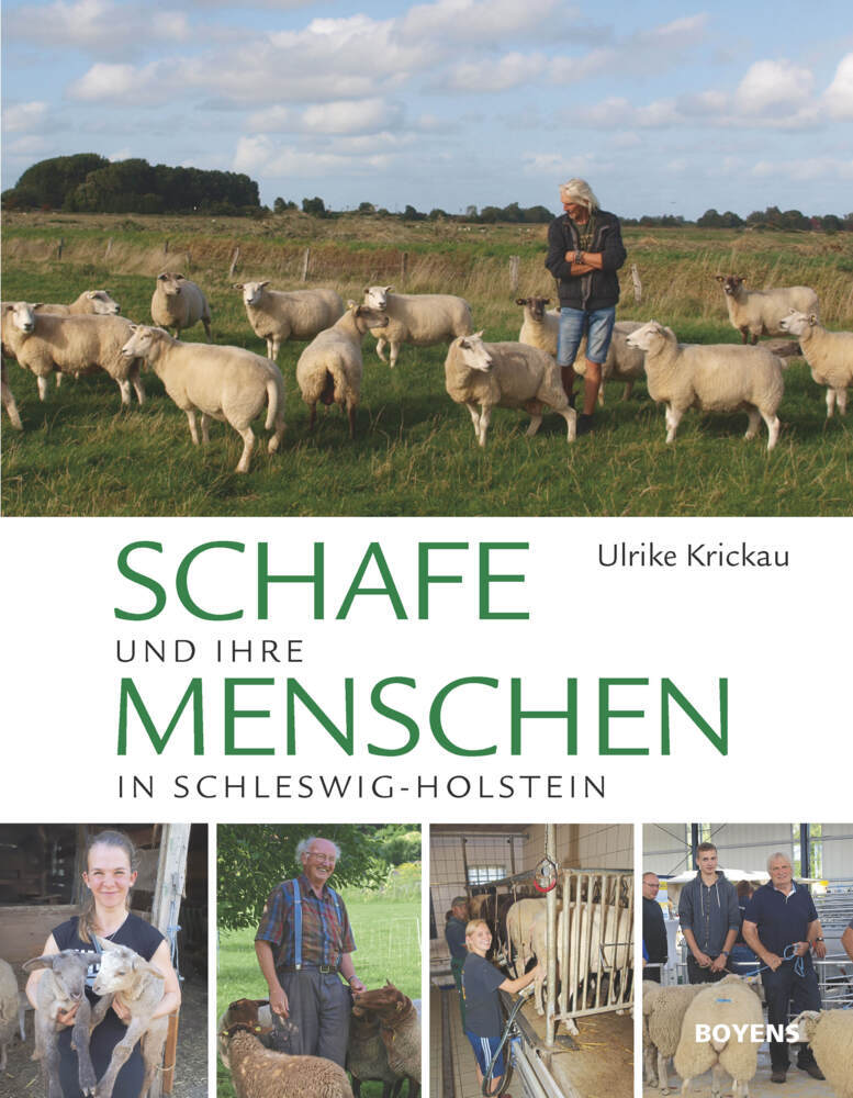 Schafe und ihre Menschen in Schleswig-Holstein (Ulrike Krickau)