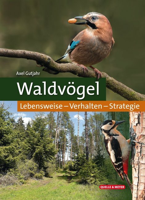 Waldvögel (Axel Gutjahr)