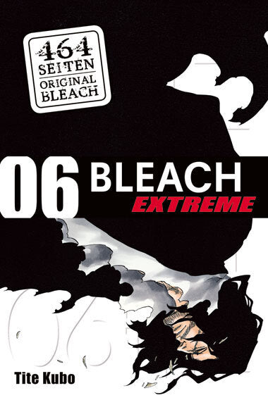 Bleach EXTREME.Bd.6 (Tite Kubo)
