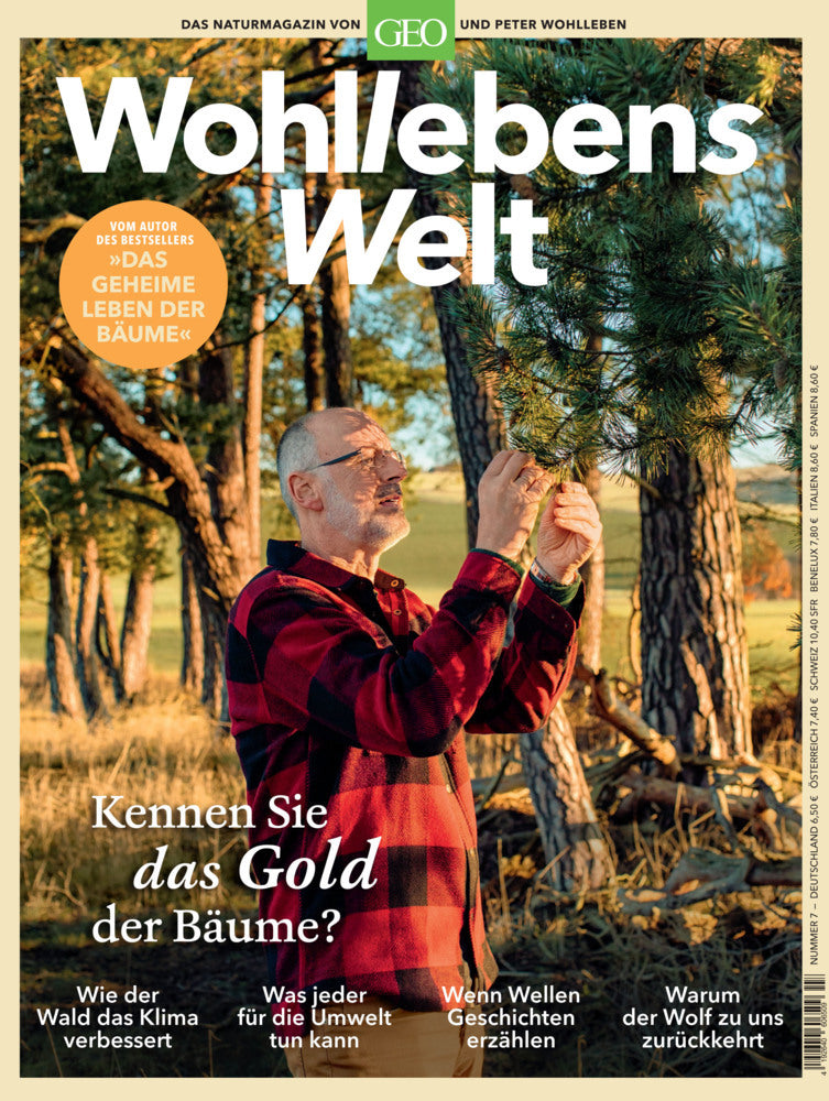 Wohllebens Welt / Wohllebens Welt 7/2020 - Kennen Sie das Gold der Bäume?.Nr.3/2020 (Peter Wohlleben)