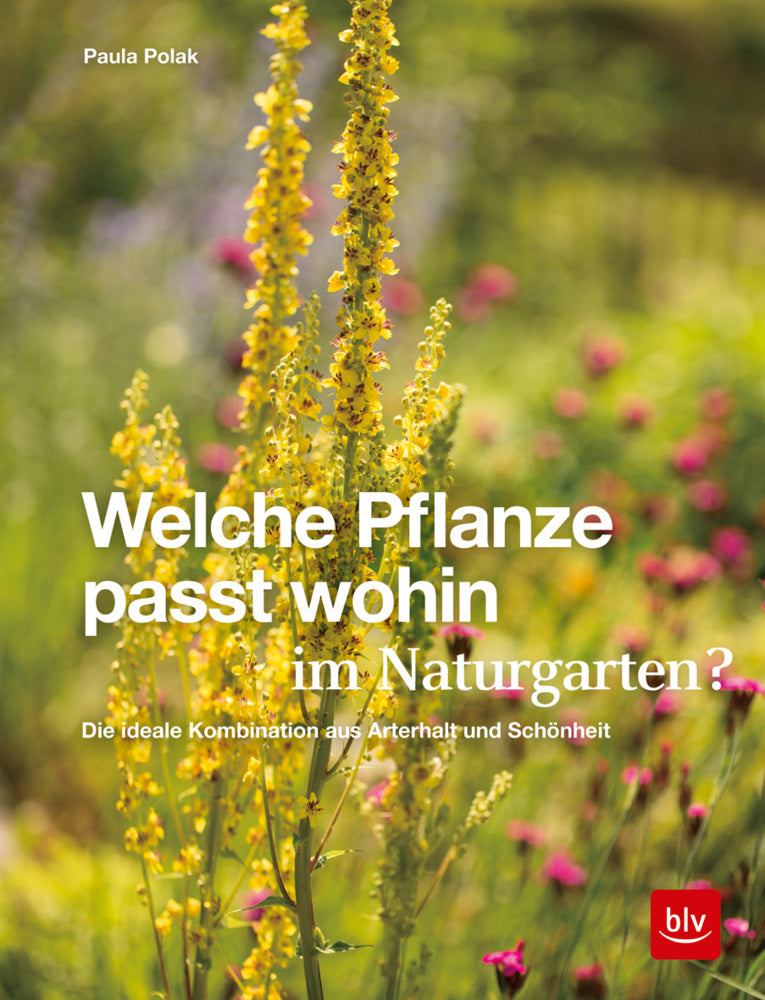 Welche Pflanze passt wohin im Naturgarten? (Paula Polak)