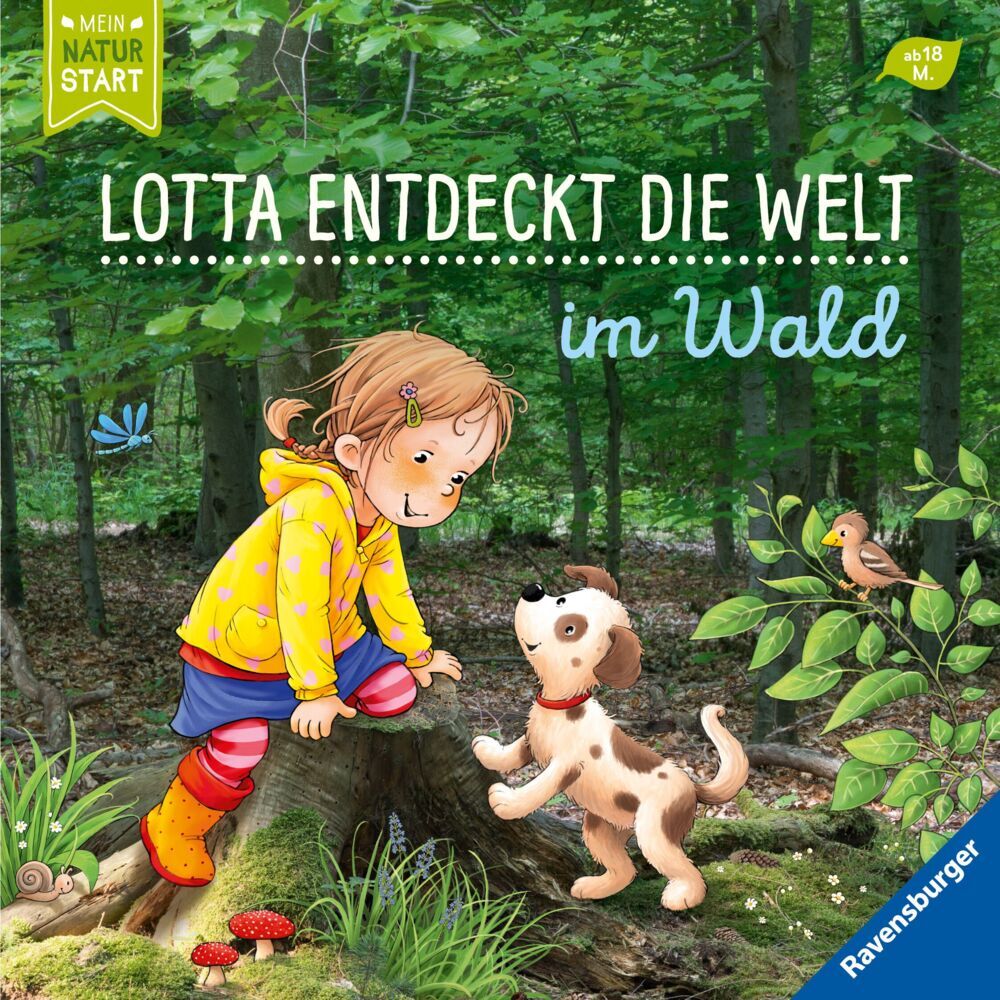 Lotta entdeckt die Welt: Im Wald (Sandra Grimm)