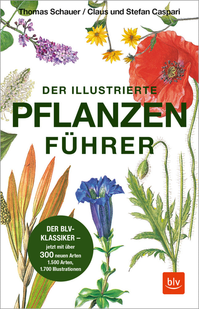 Der illustrierte Pflanzenführer (Thomas Schauer)