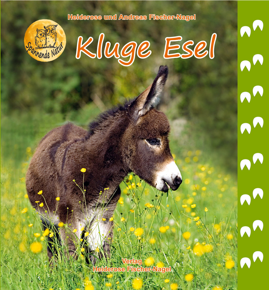 Kluge Esel (Heiderose Fischer-Nagel)