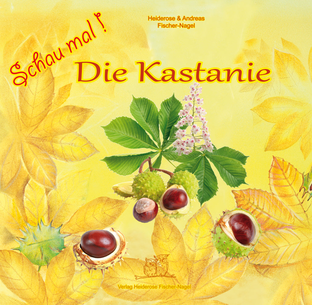 Schau mal ! / Schau mal Die Kastanie (Heiderose Fischer-Nagel)