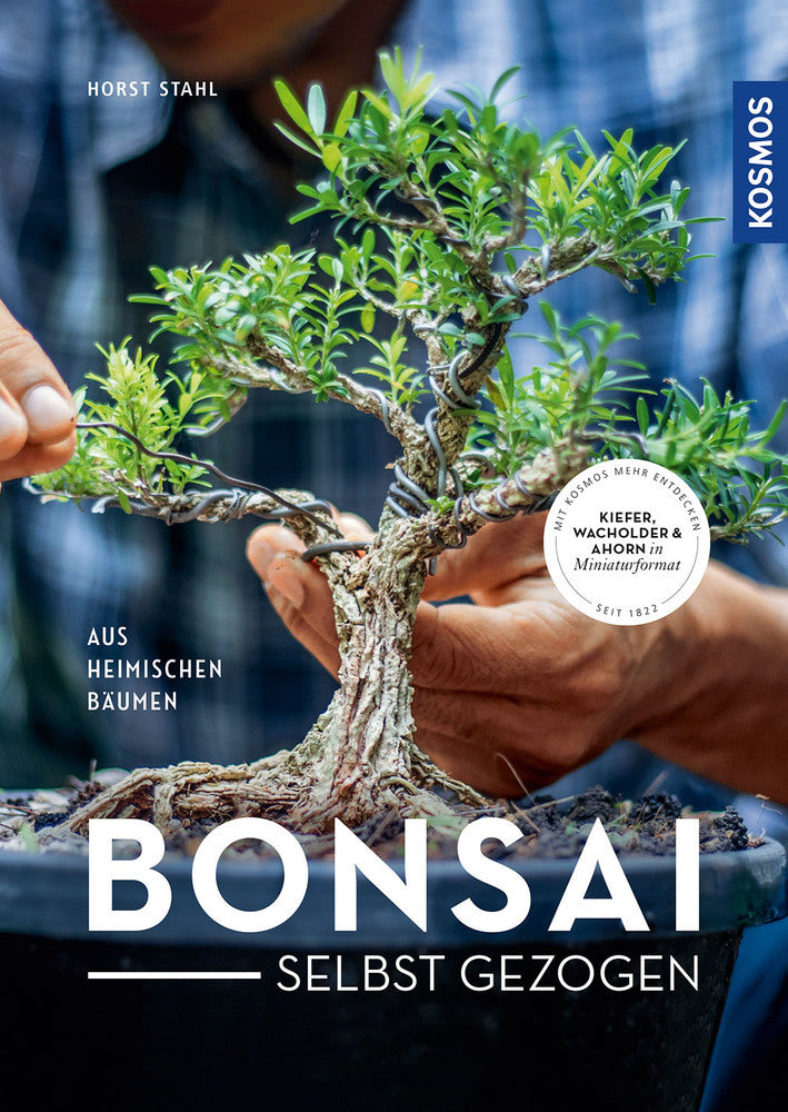 Bonsai - selbst gezogen (Horst Stahl)