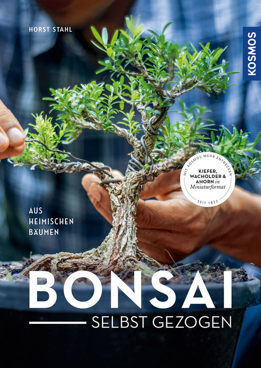 Bonsai - selbst gezogen (Horst Stahl)